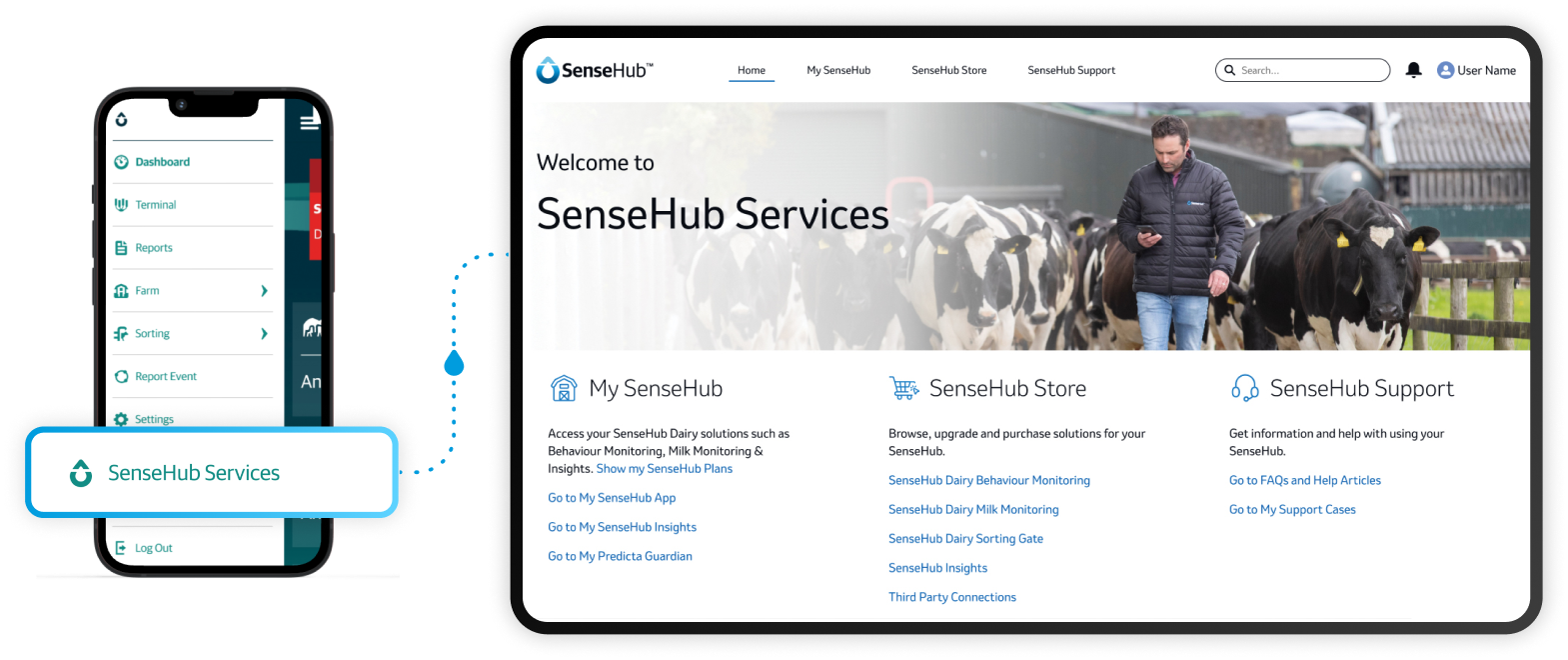 Image of SenseHub Services dashboard shown in a mobile and laptop devices